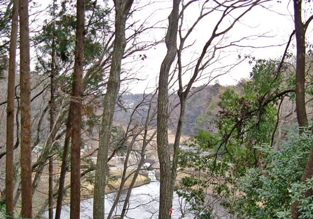 �ώ@���̍�������A���c�J�Â̑S�e�i�ς������낹��