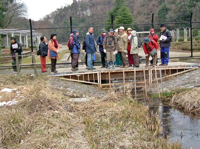 �J�Â̐��̗���ɂ��āA�S���w����������