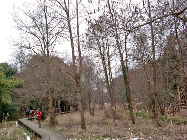 �Γ���ʂ��ăn���m�L�т𔲂��čs��