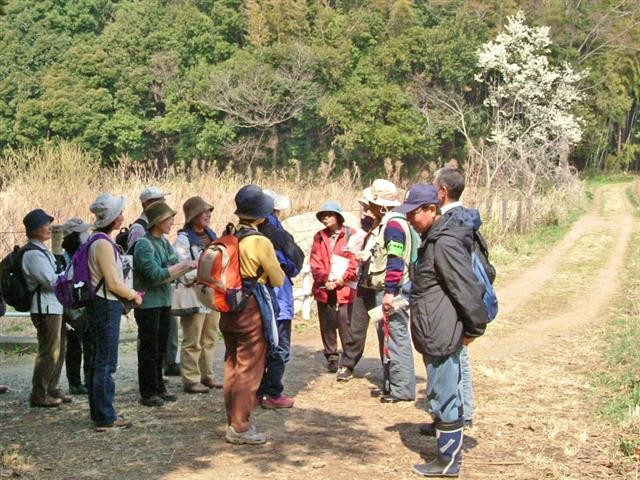 �Γ�������A���R��J�Óc�̎���ꂪ�K�v�Ȃ��ƁA�ώ@��̒��ӓ_�Ȃǂ̐��������Ă������