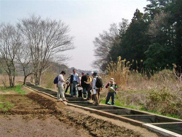 �����p���H�������ɑ���A���V�E�K�}�E�Z�C�^�J�A���_�`�\�E���ŕ����Ă���A�G�m�L�E���N�m�L�E�n���m�L���݂���