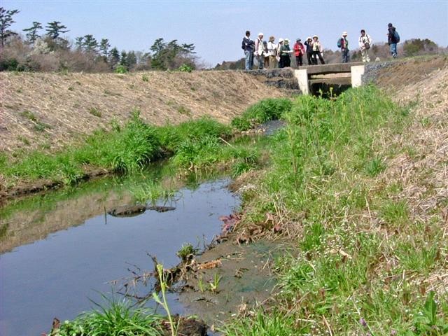 �R���N���[�g���H���ꕔ���R�^�ɉ��C���Ă���A100����5,000���~���̌o�������