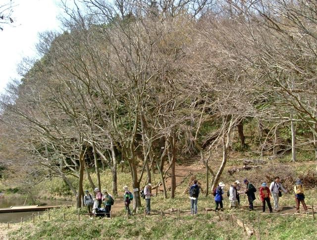 �z�^���E�ԃK�G���̗��ŗ��R�����󋵂�n�������p�̏󋵂�������Ă������