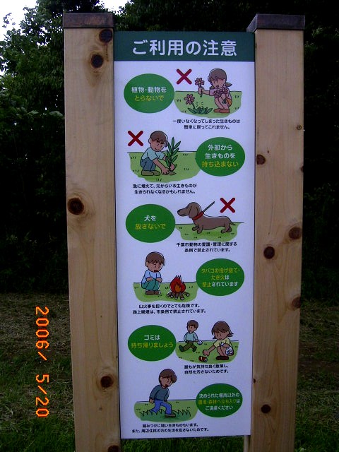 ���e�ē��̃C���X�g�̎ʐ^