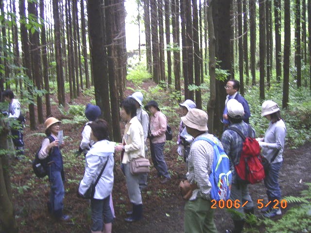 ���̐A�тƍނ̗��p�ɂ��Đ������󂯎肢��ʐ^