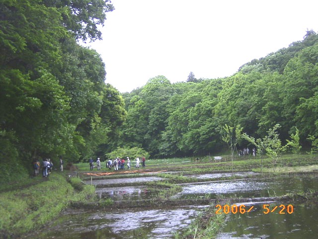 ��t�̌����i�u�J�Óc�v�̎ʐ^