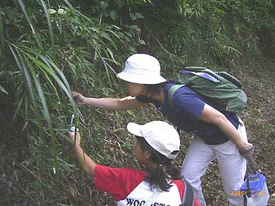 ���̎q�Ƃ��ꂳ�񂪁A�t�̉��ŃI�j�����}�̉H�������Ă���ʐ^