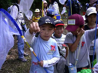 �j�̎q���J�u�g���V�̊p�������Č����Ă���ʐ^