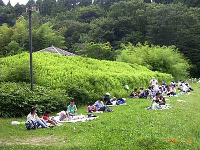 �����ŐH�������Ă���ʐ^