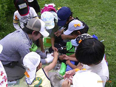 �̎悵���J�}�L���A�o�b�^�A�g���{�̊���F�Ō���׊ώ@���Ă���ʐ^