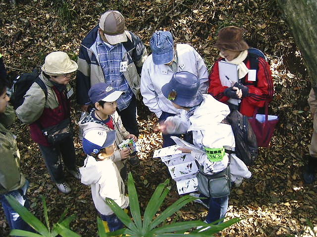 �쒹�̐}�����Ȃ���q�ǂ������₵�Ă���ʐ^