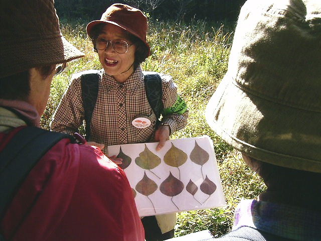 �����t�̕W�{�������Ă���ʐ^