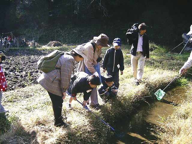 ����œy���T���Ă���ʐ^