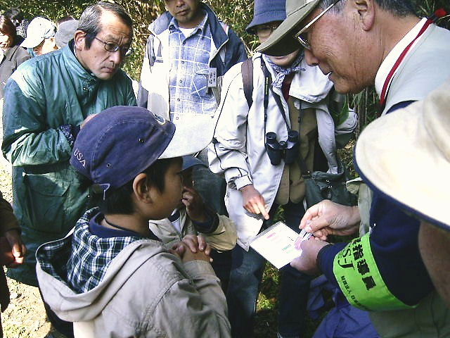 �q�ǂ��ɐ��������������Ă���ʐ^