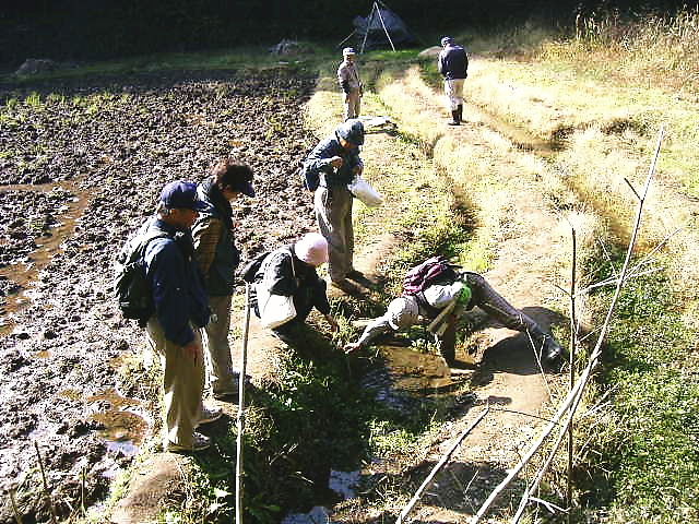 ������̐����𑪂��Ă���ʐ^