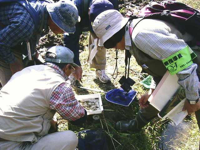 �ߊl���������ɂ��ꂽ�����������Ă���ʐ^