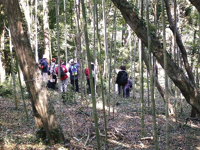 �Y�Ă����Ղ̎ʐ^