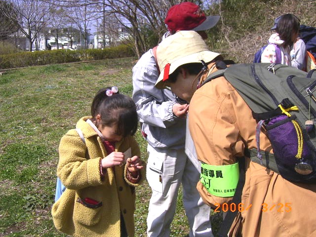 �^���|�|�̉Ԃт�̐����w�����ƈꏏ�ɂ������A�^���|�|�̐����𒮂����̎q�̎ʐ^