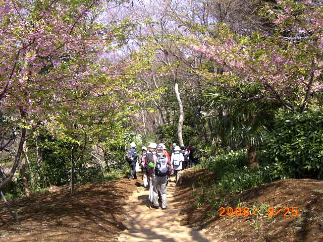 �J���Y�T�N���̃g���l����������A�����Ă���ʐ^