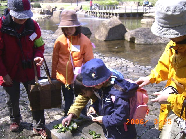 �����ŏ��ɍ�������u�c�o�L�̗t���ς́u���킢��������v���f�W�J���Ŏʂ��Ă���q�ǂ��̎ʐ^