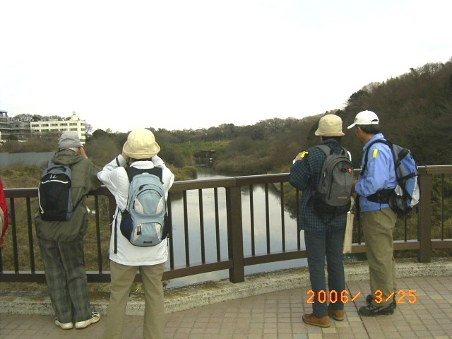 �Ԍ���勴�̏ォ�琅�ӂɂ���������J���Z�~�̎p���ώ@���Ă���ʐ^