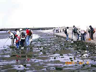 ���̈��������l�Ő����܂���ώ@���Ă���ʐ^