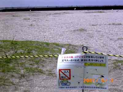 �R�A�W�T�V������̂ŗ�������֎~�̌f���̎ʐ^