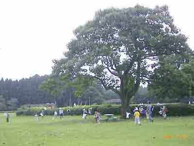 �傫�Ȗ؂̐L�����Œ����҂݂������Ēǂ������Ă���q�ǂ������̎ʐ^