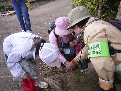 �w�����̐����𒮂��Ȃ��痎���Ă������h���M�̎}���ώ@����Q�l�̎q�ǂ��̎ʐ^