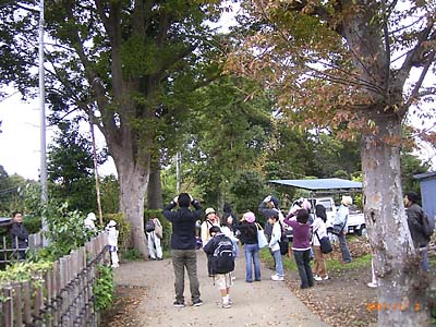 �P���L�̑�؂����グ�o�ዾ�Ń��h���M���ώ@���Ă���Q���҂P�O���̎ʐ^