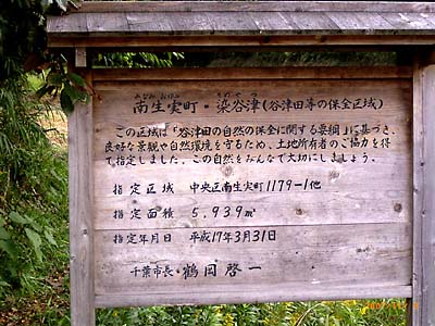 �J�Óc��ۑS�����Ƃ̕\���̖ؐ��̌f����