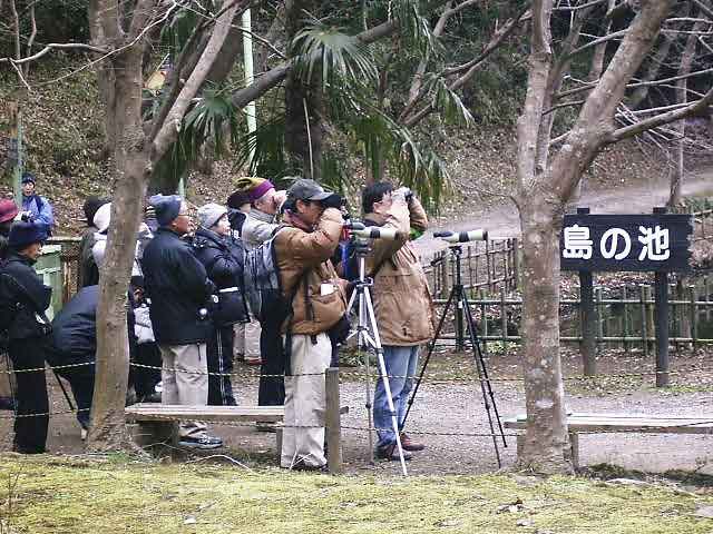 �����r�^�L��o�ዾ�Ō��Ă���P�O�l�̎ʐ^