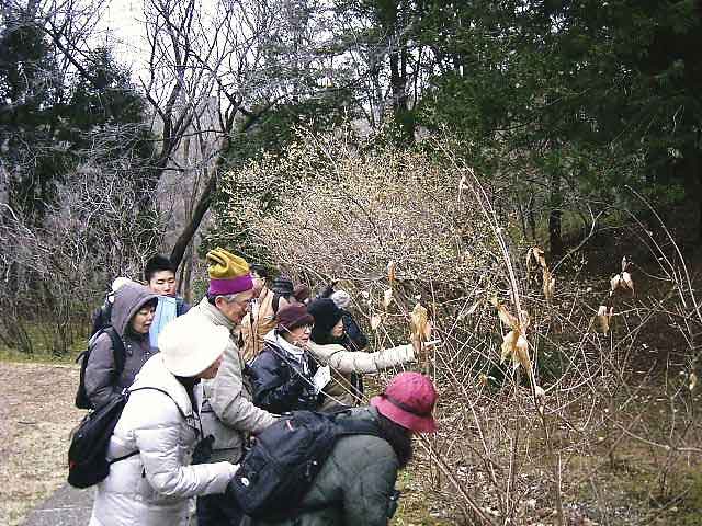 ���E�o�C���ώ@����P�O���قǂ̎Q���҂̎ʐ^