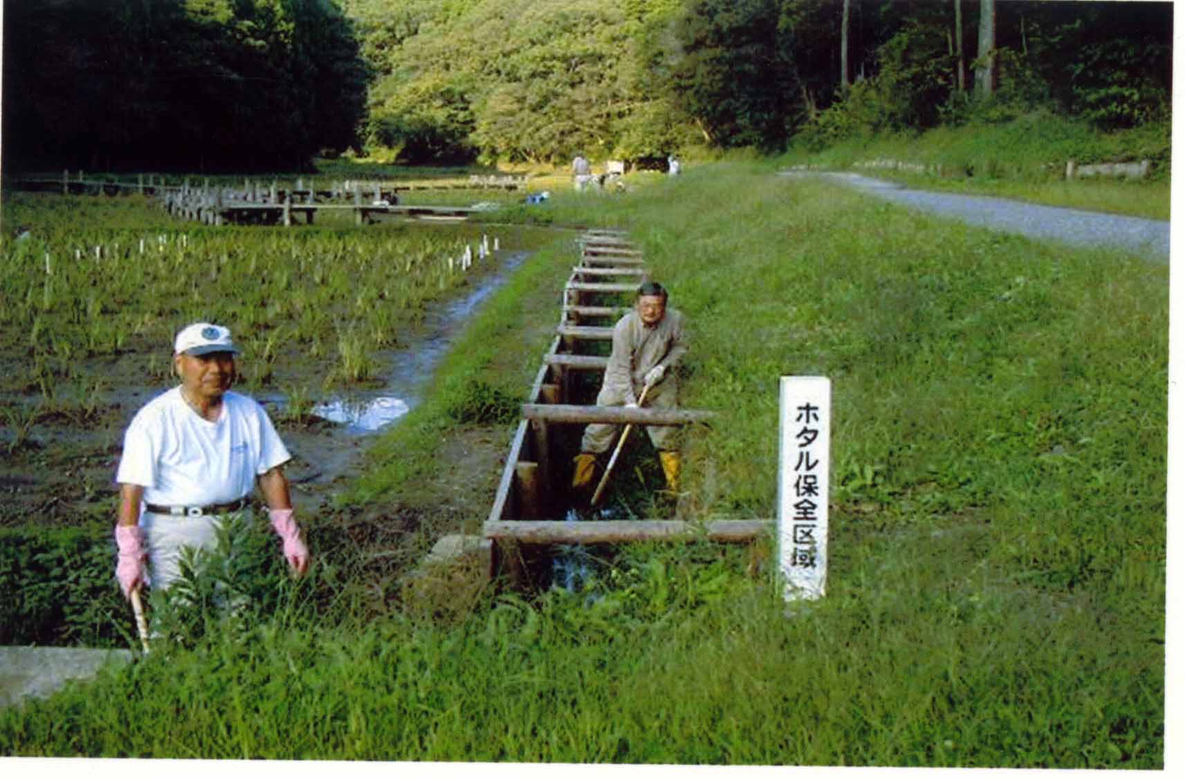 �z�^���ۑS���H�̑����