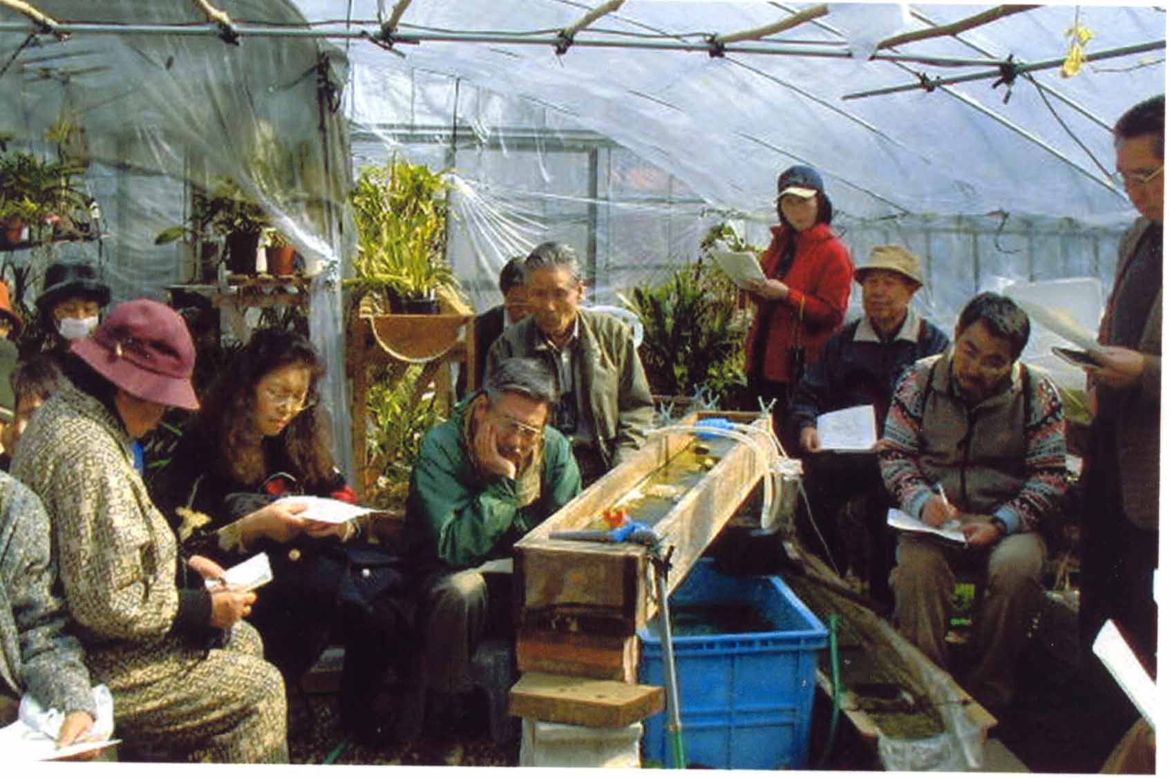 �z�^���{�B���ł̌��C��