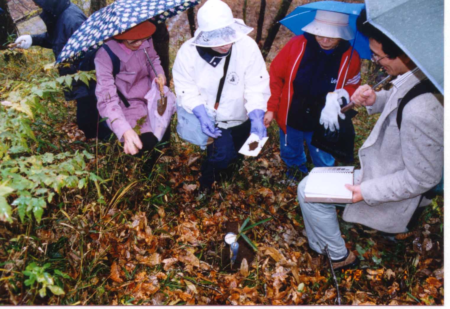 ��������