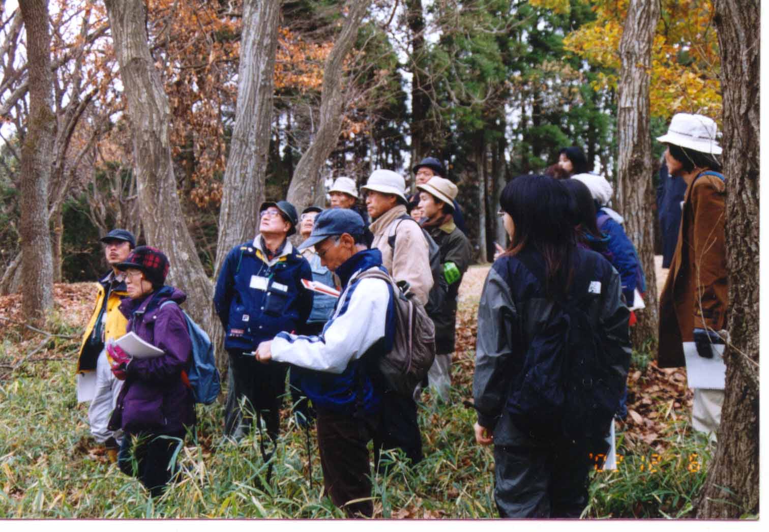 �G�ؗт̎d�g�݂�m�낤