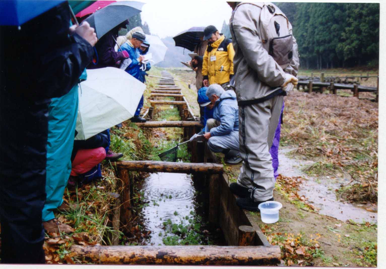 �n���u�t�̌��n�u�K