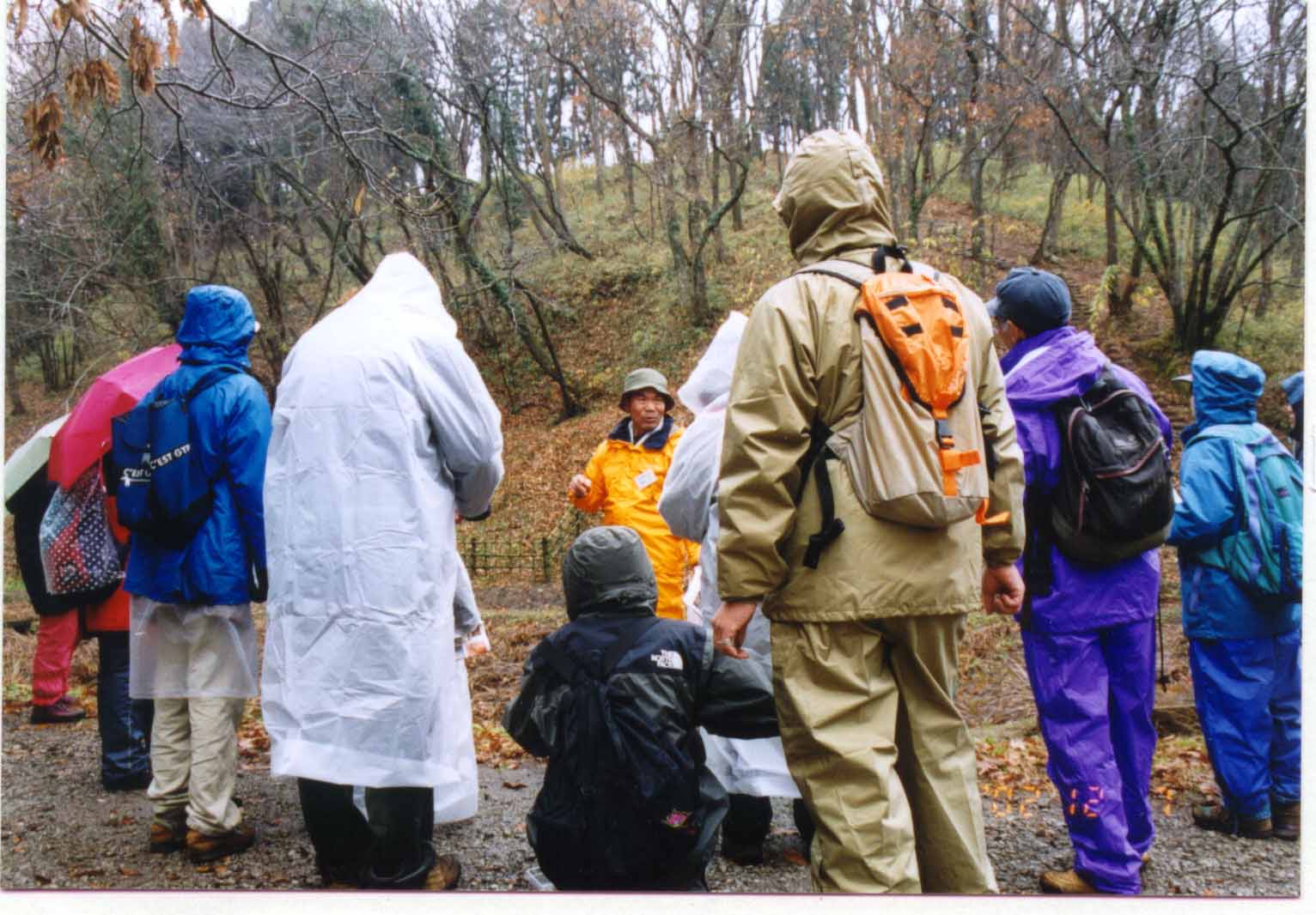 ��t�̗��R���т�