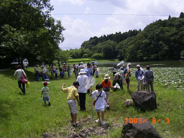 �g���{�ȂǒT���q�ǂ������̎ʐ^