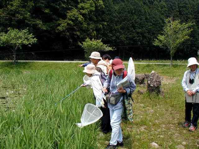 �g���{��T���Q���҂���