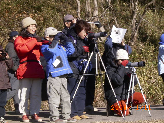 �]�����������Ē����ώ@����Q����