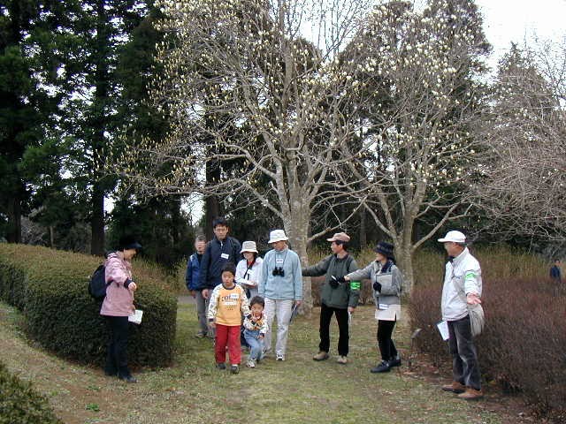 �炫�o�����R�u�V�̉��Ŗ쑐�ώ@