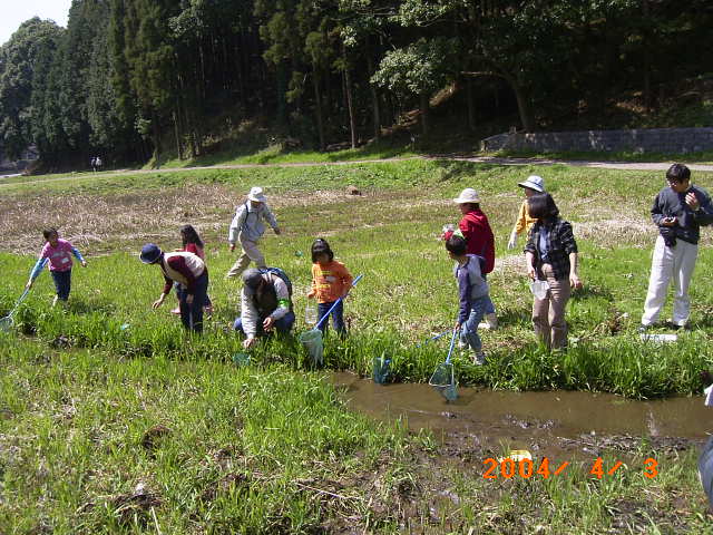 ���H�ŖԂ��g���ĕ߂��Ă���ʐ^