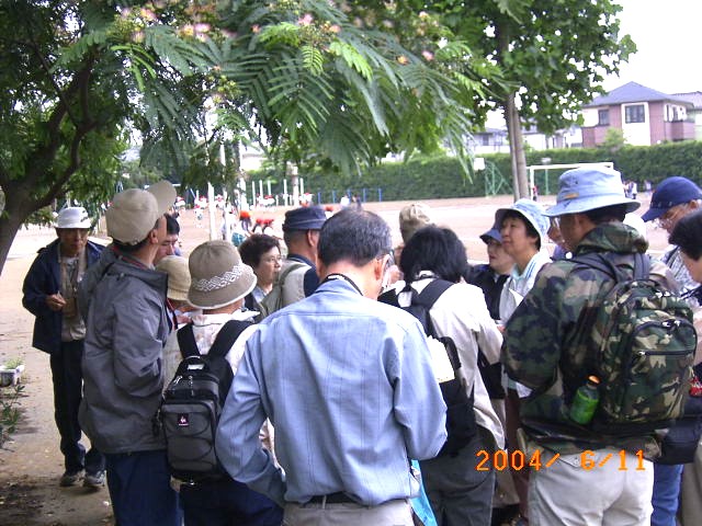 �u���k�������^�����Ă���Z��Ńl���m�L�̊ώ@���׋��v�̕��i�ʐ^