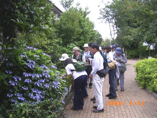 �u�Z��ɗאڂ�������ɂ����낢��Ȋώ@�Ώۂ��v�̕��i�ʐ^